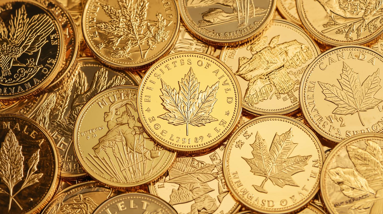 Gold coins collection